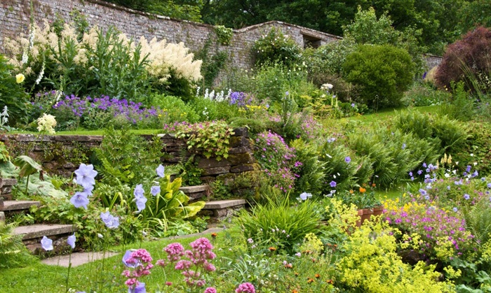 Jardin à l'anglaise