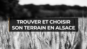 Nos conseils pour trouver et choisir le terrain de sa maison en Alsace