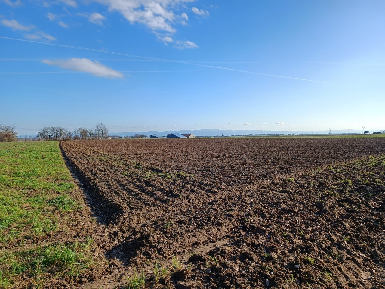 Opportunité de maisons individuelles et de logements Le Duo® à Niederschaeffolsheim